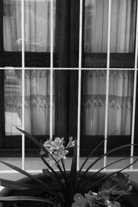 Hotel Niut-Ja オアハカ州 エクステリア 写真